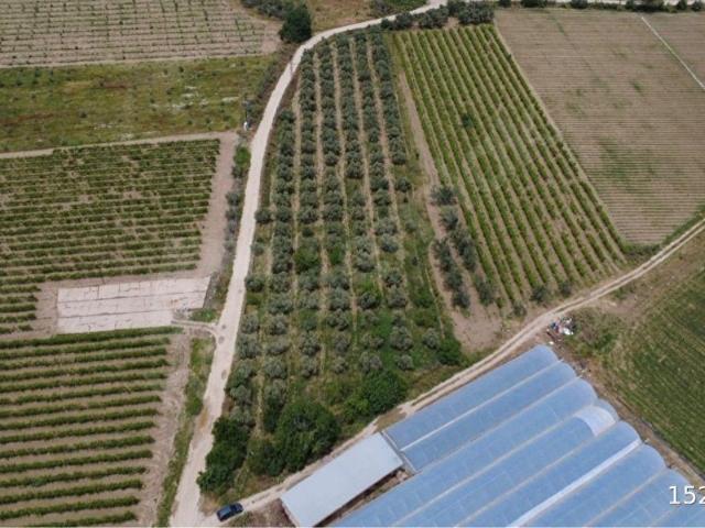 Salihli, Manisa içerisinde satılık mülk