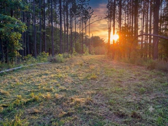 Land for sale in Big Sandy, West Tennessee