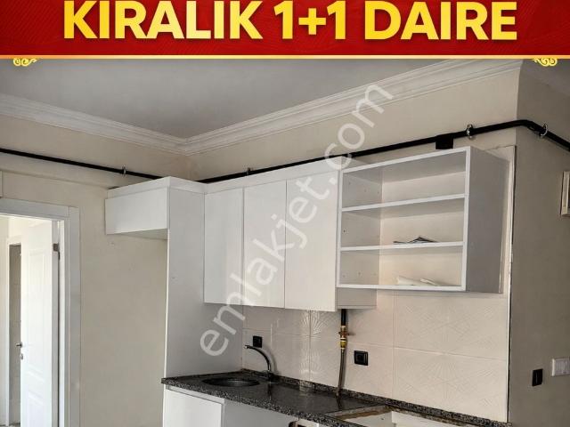 Niksar, Tokat içerisinde kiralık mülk