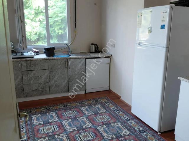 Niksar, Tokat içerisinde kiralık mülk