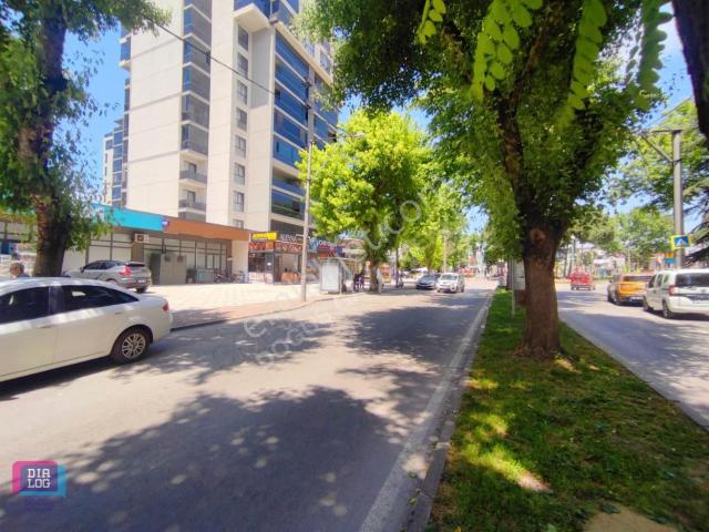 Osmangazi, Bursa içerisinde kiralık mülk