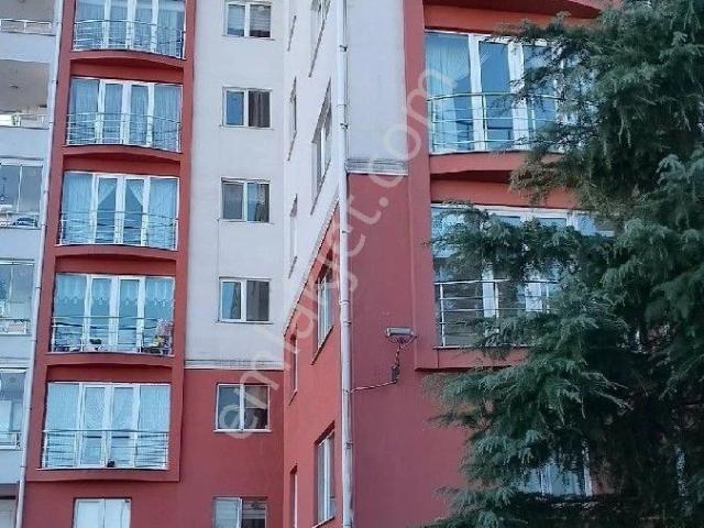 Liseler Mahallesi, Ünye içerisinde satılık mülk