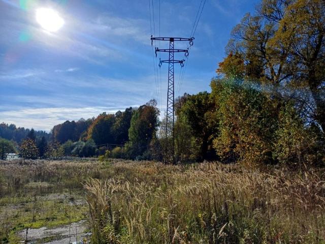 Grunt na sprzedaż w Olszyna, Dolnośląskie