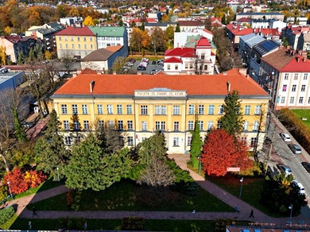 Mieszkanie do wynajęcia w Starówka, Tarnów