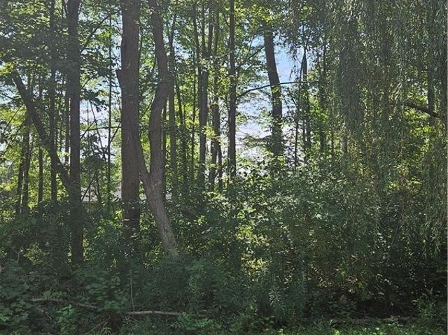 Land for sale in Lake Erie Beach, Erie County