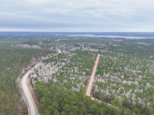 Land for sale in Havelock