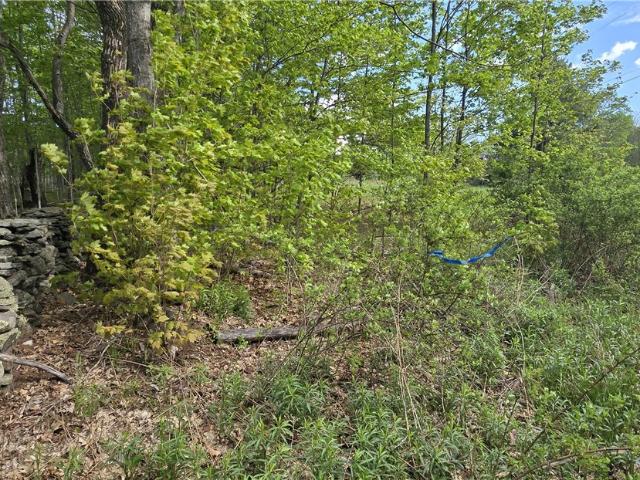 Land for sale in Harpersfield, New York