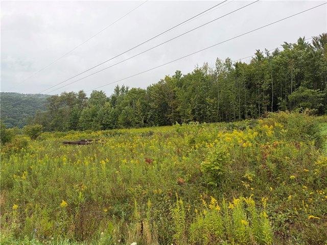 Land for sale in Cortland, New York