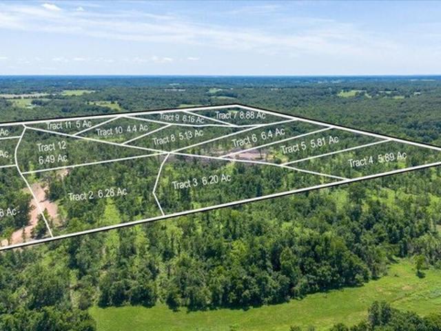 Land for sale in Goodman, Missouri