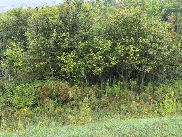 Land for sale in Cortland, New York