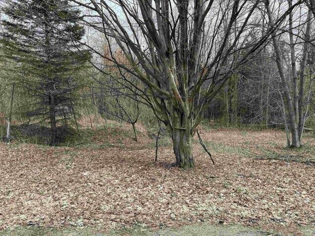 Land for sale in Grand Isle, Vermont
