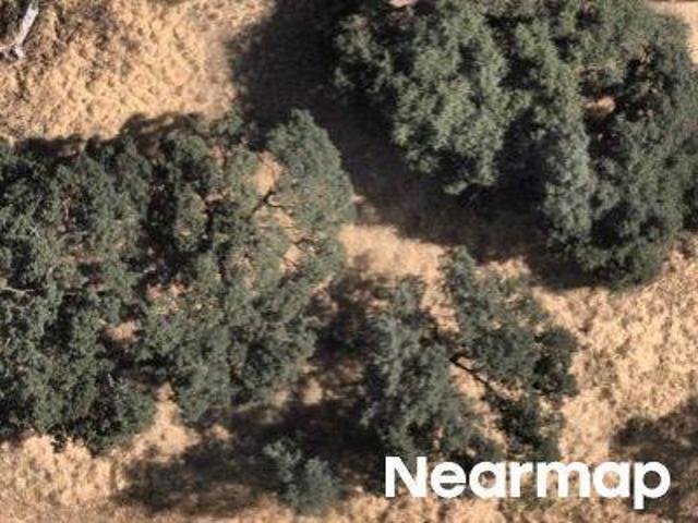 Land for sale in Lake, California