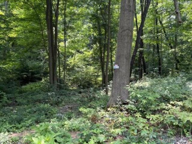 Land for sale in Coloma
