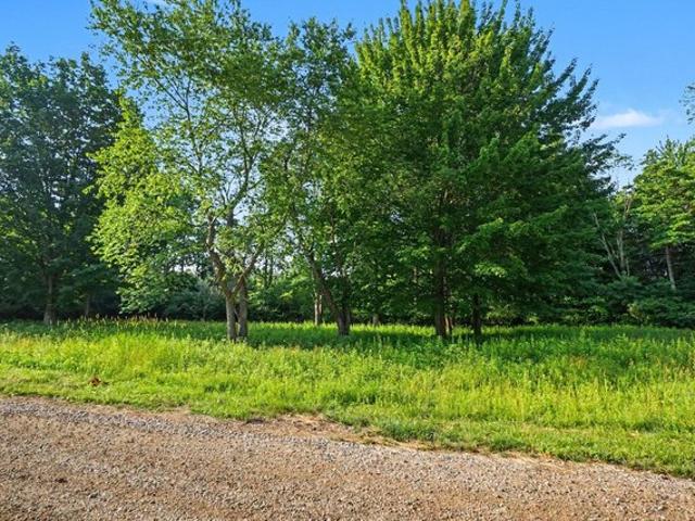Land for sale in South Haven, Michigan