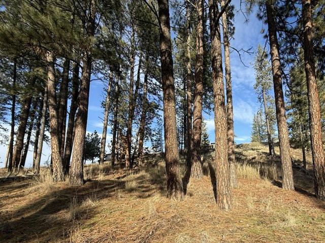 Land for sale in Republic, Washington