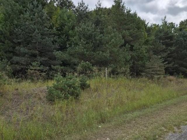 Land for sale in Kaleva, Michigan