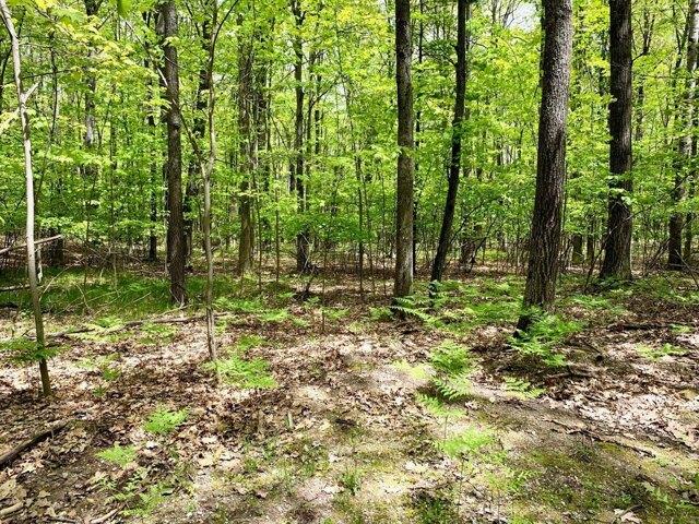 Land for sale in Roscommon