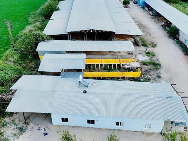 İmamoğlu, Adana içerisinde satılık Fabrika
