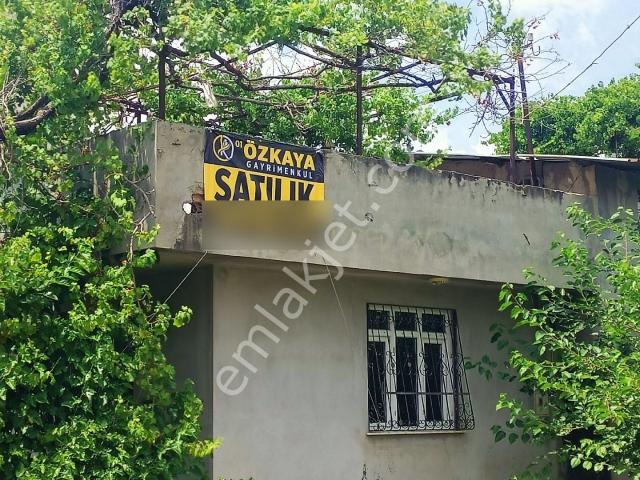 Yüreğir, Adana içerisinde kiralık mülk