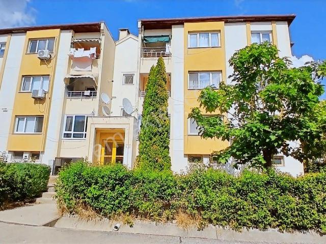Adapazari, Sakarya içerisinde satılık mülk