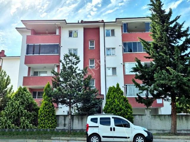 Adapazari, Sakarya içerisinde kiralık mülk