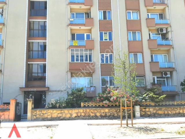 Adapazari, Sakarya içerisinde kiralık mülk
