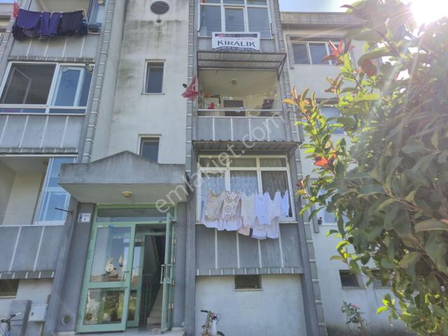 Nasuhlar, Adapazarı içerisinde kiralık mülk