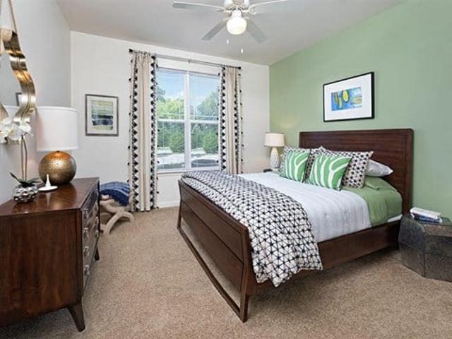 Apartment for rent in Petersburg Apartment for rent in Petersburg