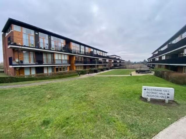 Apartment to rent