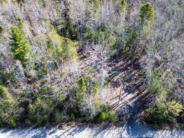 Land for sale in Addison, Maine