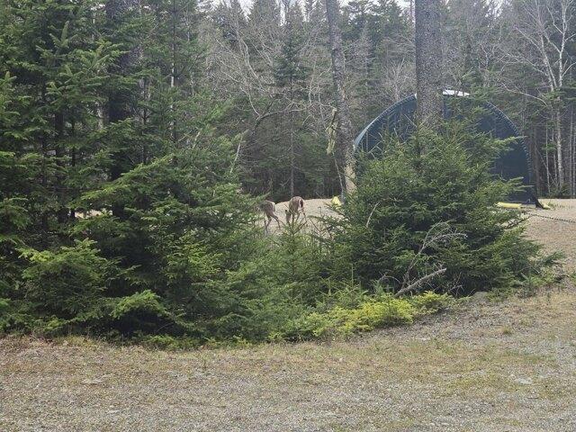 Land for sale in Addison, Maine