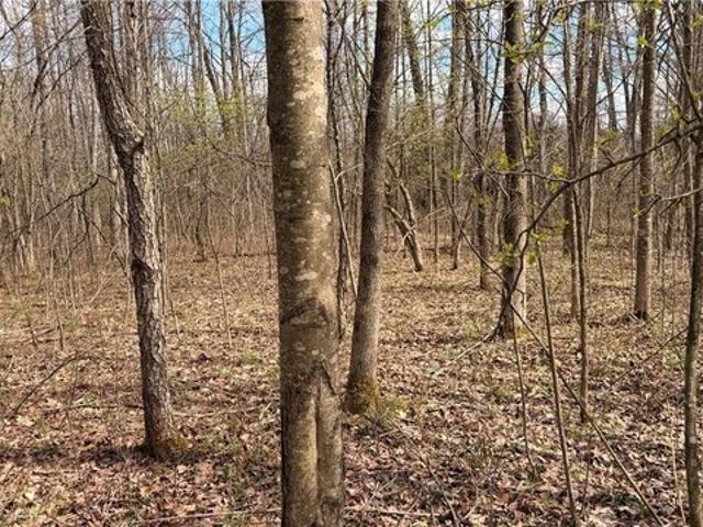 Land for sale in Brookfield, Ohio