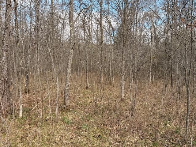 Land for sale in Brookfield, Ohio