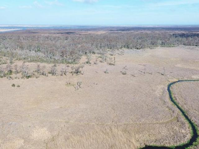 Land for sale in Theriot, Louisiana