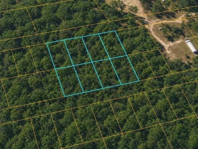 Land for sale in Suwannee, Florida