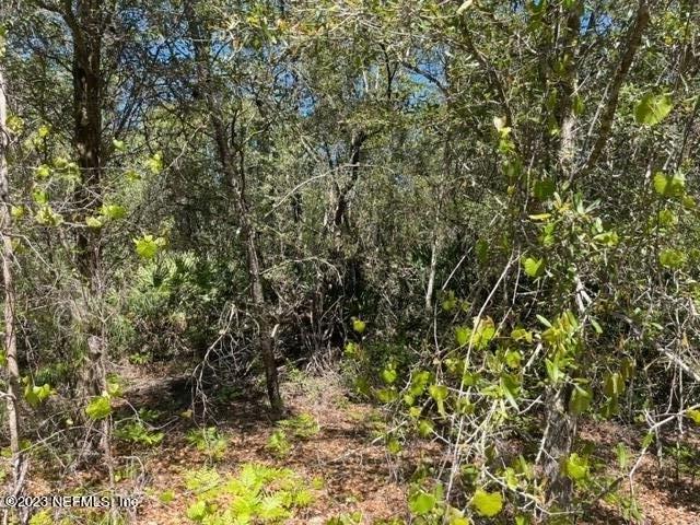 Land for sale in Florahome, Florida