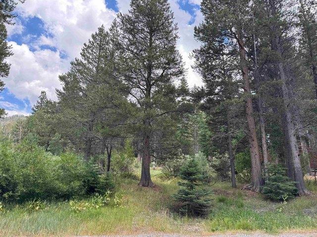 Land for sale in June Lake, California