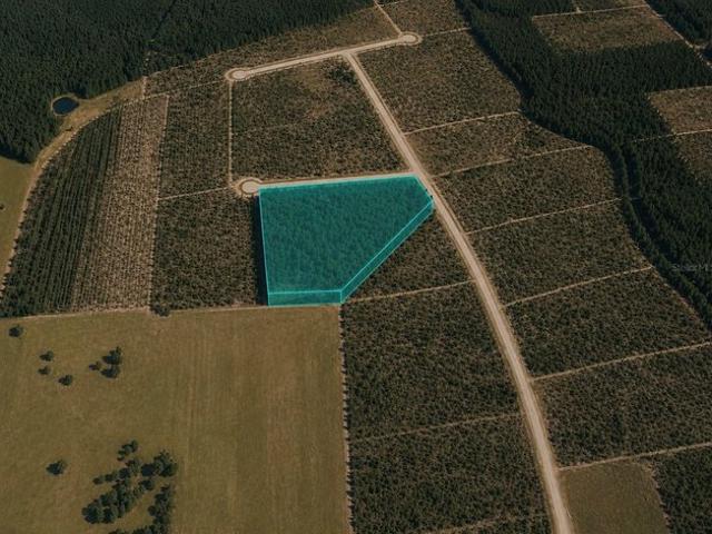 Land for sale in Bristol, Florida