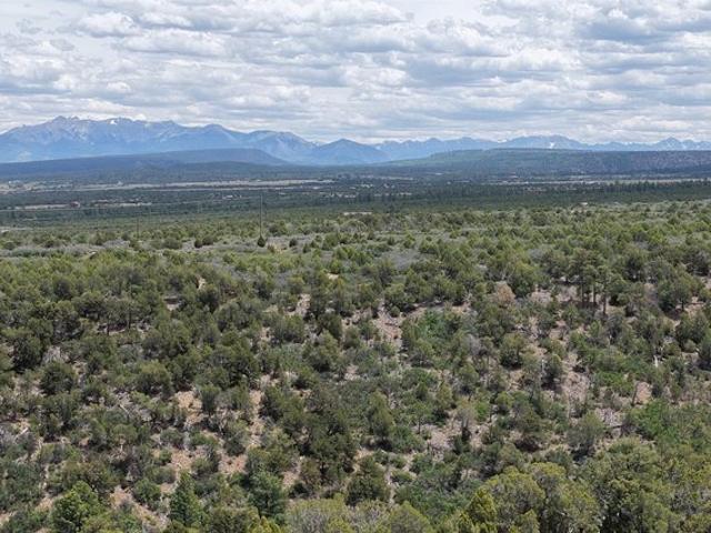 Land for sale in Norwood, Colorado