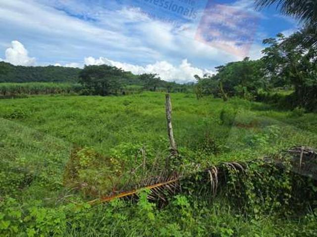 Land for sale