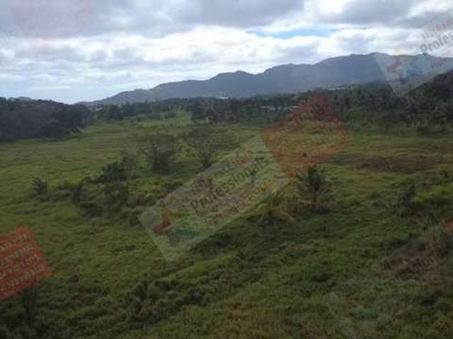 Land for sale