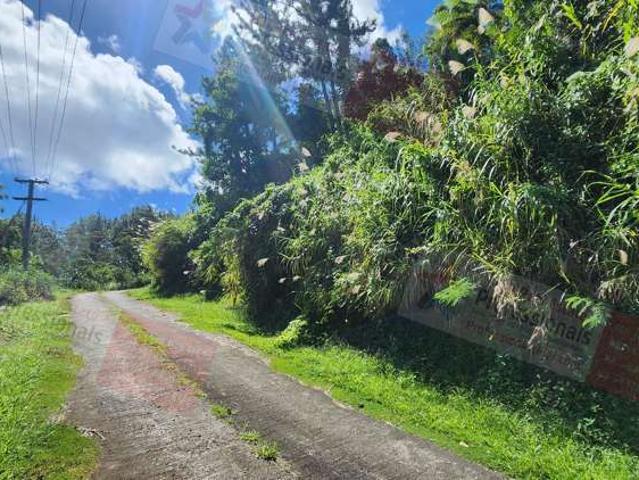 Land for sale