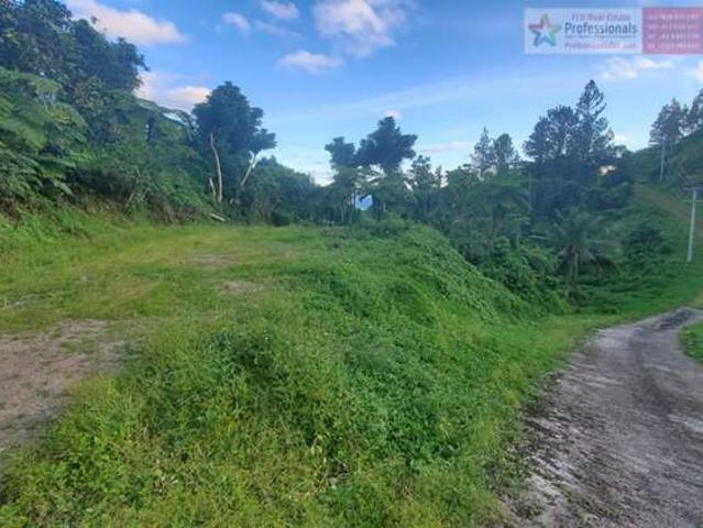 Land for sale
