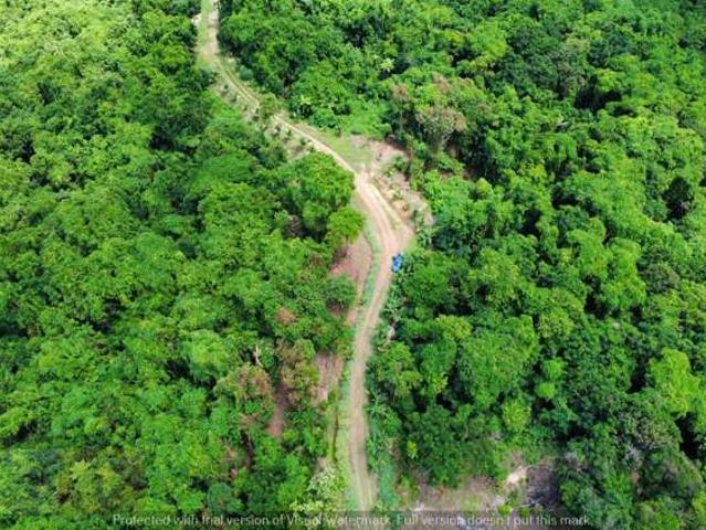 Land for sale in Matata, Wellington