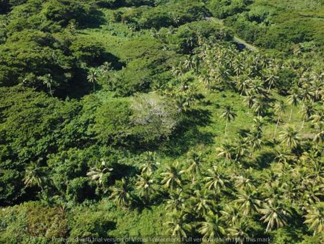 Land for sale