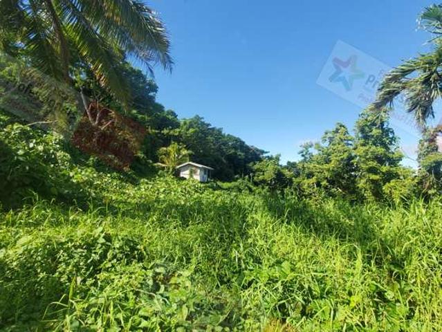 Land for sale