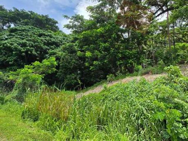 Land for sale