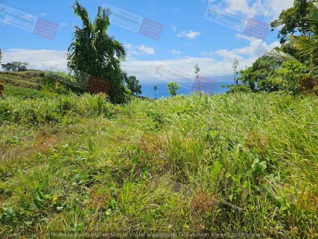 Land for sale in Otakou, Otago
