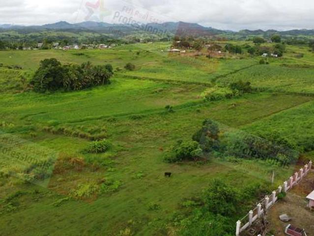 Land for sale