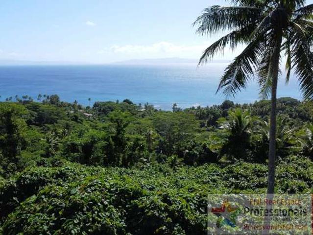 Land for sale in Waikato